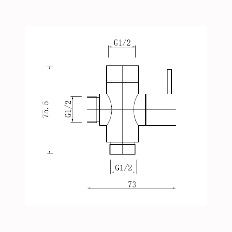 Brushed Brass Bidet Diverter