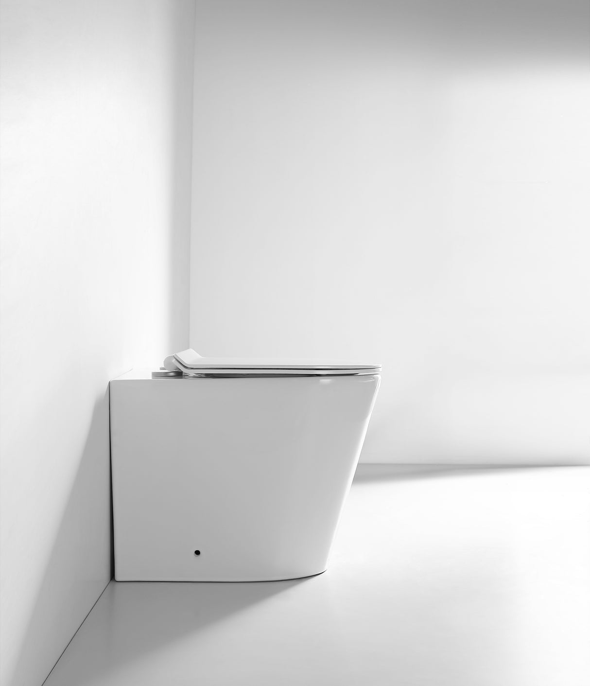 Orion Rimless Back to Wall Toilet Pan Only