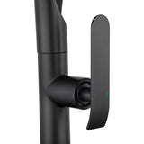 Black Pull Out Kitchen Mixer