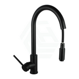 Black Pull Out Kitchen Mixer