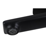 RUSHY - Black Basin Mixer