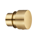 Progressive Brushed Brass Handle