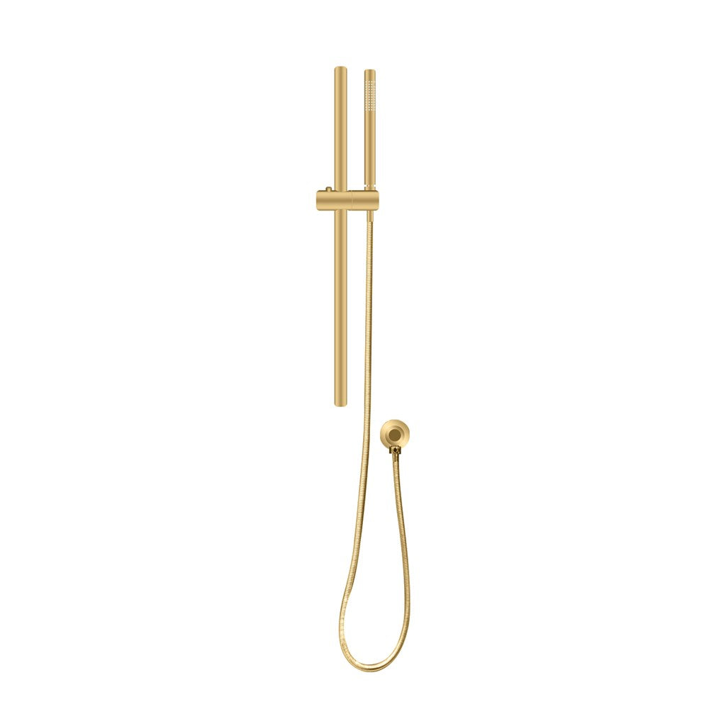 Brushed Brass Shower Rail with Handheld Shower
