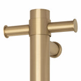 VSH900HBB Brushed Brass 240Volt Vertical Single Heated Rail