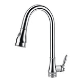 Chrome Pull Out Kitchen Mixer