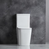 Enox Back-to-Wall Toilet Suite