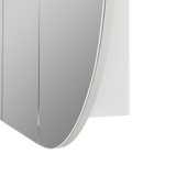 Olivia Mirror Cabinet OPLSV1275MW