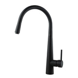 Black Pull Out Kitchen Mixer