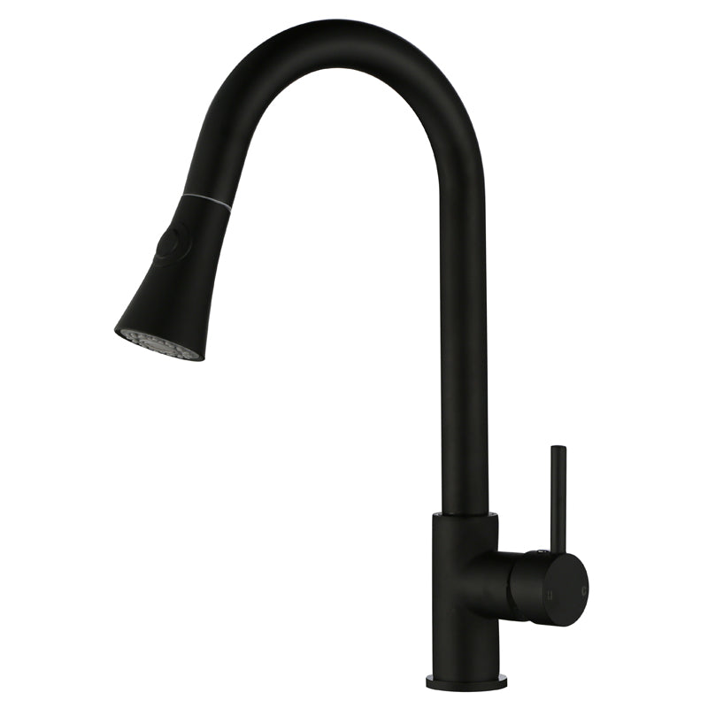 Black Pull Out Kitchen Mixer