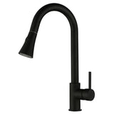 Black Pull Out Kitchen Mixer