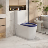Pani Care-Accessible Back-to-Wall Toilet