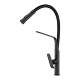 Black Pull Out Kitchen Mixer