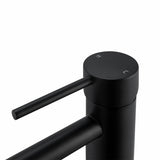 LUCID PIN - Black Basin Mixer